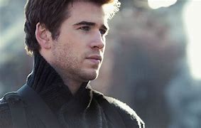 Image result for Hunger Games Gale Profile