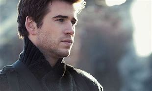 Image result for Hunger Games Gale Profile