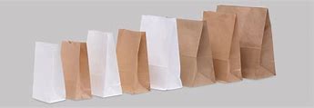Image result for Square Bottom Paper Bags for Shipping
