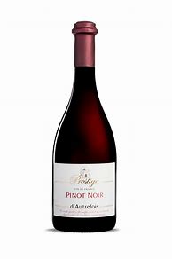 Image result for A P Vin Pinot Noir Ridgetop