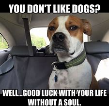 Image result for Good Luck Dog Meme