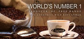 Image result for Kopi Luwak Coffee Starbucks