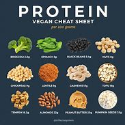 Image result for Vegan Protein Sources Food