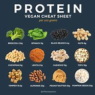 Image result for Vegan Protein List