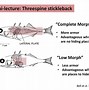 Image result for Evolution of Data Charts