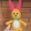 Image result for Funny Bunnies Plush Toy