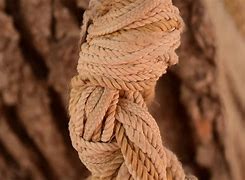 Image result for Rope Hoock