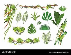 Image result for Jungle Vines Cartoon