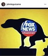 Image result for Meme Fox Hoy