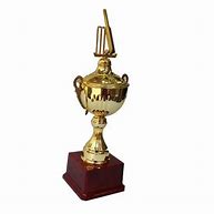 Image result for Cricket Tournament Trophies