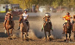 Image result for Indian Horse Racing