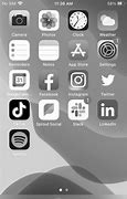 Image result for Grayscale Phone