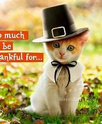 Image result for Thanksgiving Blessings Memes