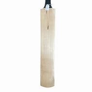 Image result for Blank Cricket Bat