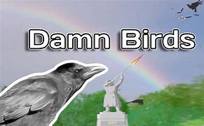 Image result for Damn Bird Meme Mug