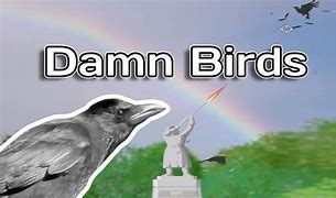 Image result for Damn Bird Meme