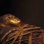 Image result for DNA of Egyptian Mummies