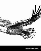 Image result for Flying Eagle Sketch
