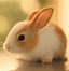 Image result for Pictures of Bunnies Snuggling