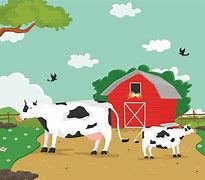 Image result for Cow Farm Cartoon
