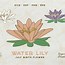 Image result for Water Lily Stem SVG