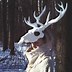 Image result for Deer Skull Helmet