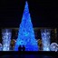 Image result for Outdoor Fiber Optic Lighted Christmas Trees