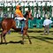 Image result for Horse Racing HD