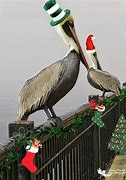 Image result for Free Christmas Walpapers Pelican