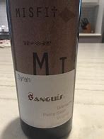 Image result for Sanguis Misfit