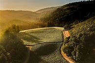 Image result for Rhys Alesia Chardonnay Santa Cruz Mountains