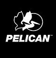 Image result for Pelican Sport Logo