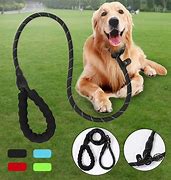 Image result for Leash Dog and Scup