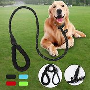 Image result for Training Leashes for Dogs