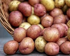 Image result for Local Food Suppliers