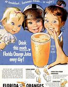 Image result for Florida Orange Cartoon