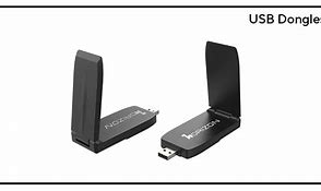 Image result for Sacrificed Dongles USB