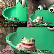 Image result for Cute Frog Meme