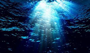 Image result for Underwater Light Filter Photo