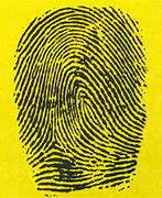 Image result for Galaxy S10 Fingerprint