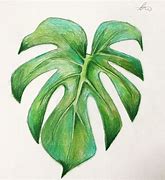 Image result for Coloured Pencil Drawing Leaves in Fron of Stone Wall