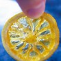 Image result for Candied Fruit Slices