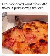 Image result for Vote Pizza Cat Meme