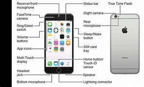 Image result for Apple iPhone 7 Plus Manual
