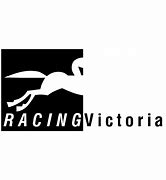 Image result for Carolina Logo Racing