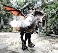 Image result for Realistic Dragon Costume