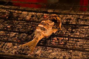 Image result for Burnt Fish
