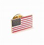 Image result for American Flag Pin