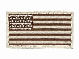 Image result for Tan American Flag Patch