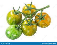 Image result for Heirloom Tomato